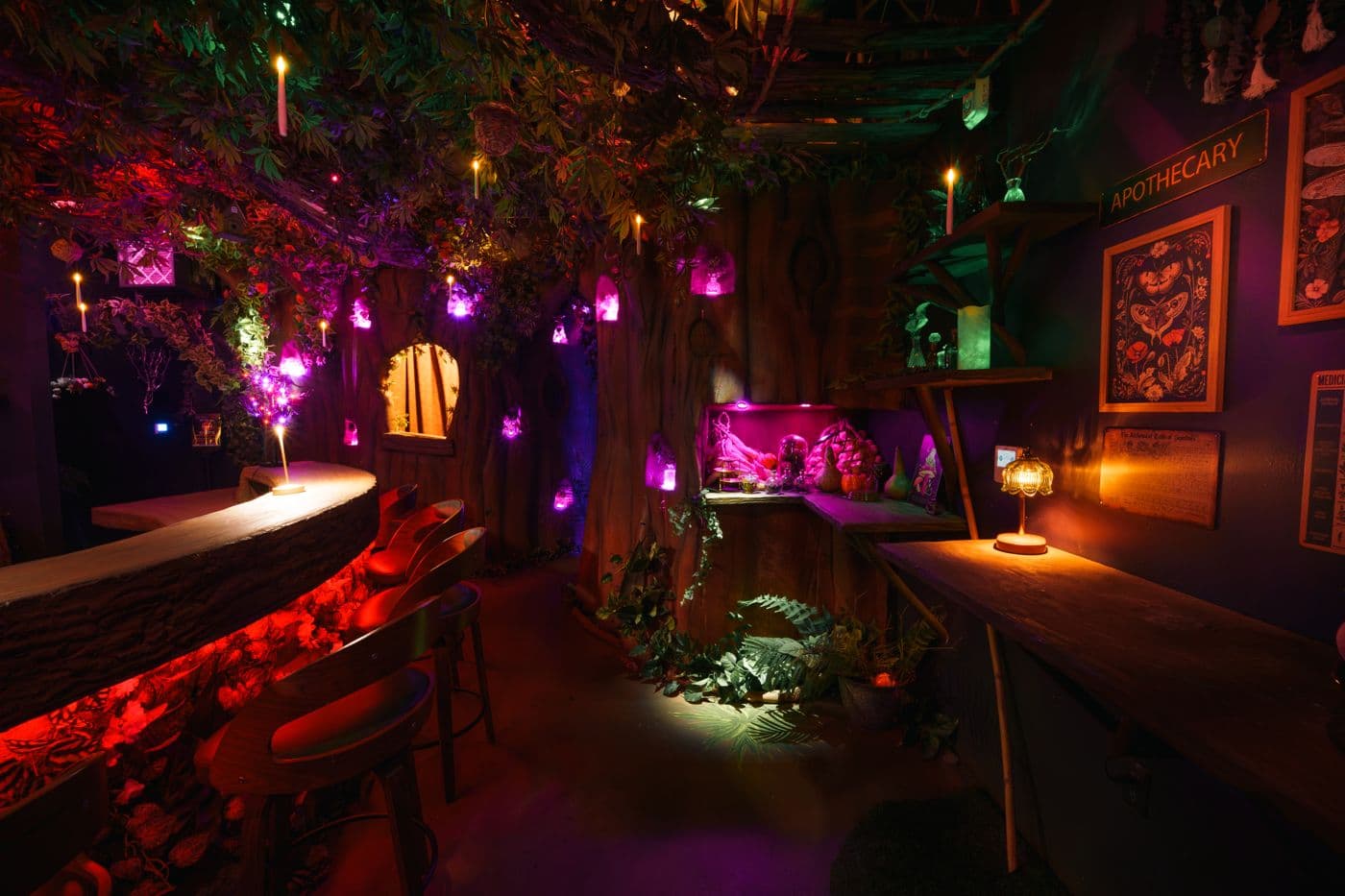 The apothecary corner of Everburn Woods, shelves of jars under a glowing sign