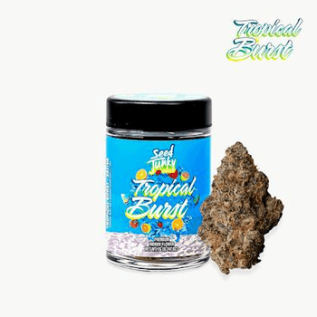 SEED JUNKY | TROPICAL BURST | 7G