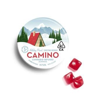 CAMINO | HOLIDAY PUNCH | 100MG | 10PK
