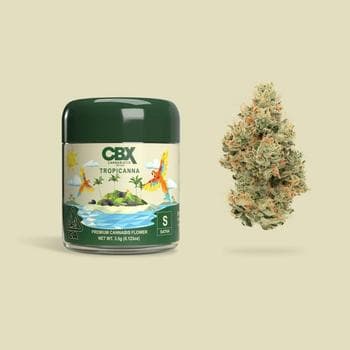 CBX | Tropicanna | 3.5G