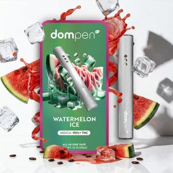 DOMPEN | Watermelon Ice | AIO | 1g