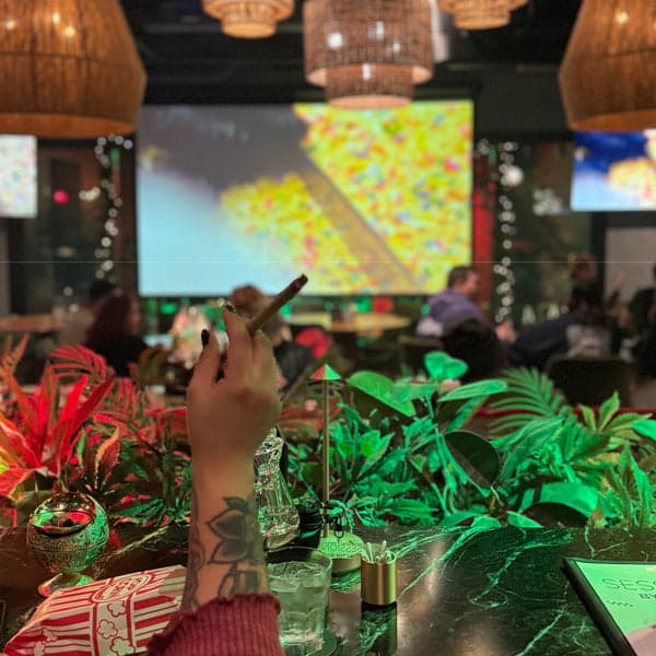 Movie Nights at Sessions By The Bay