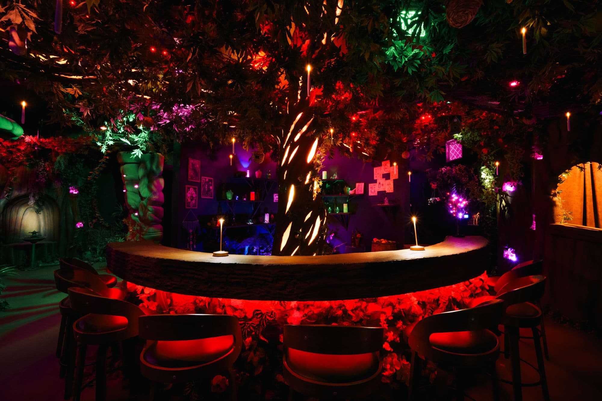 The tree-trunk counter in Everburn Woods under a canopy of leaves and candlelight