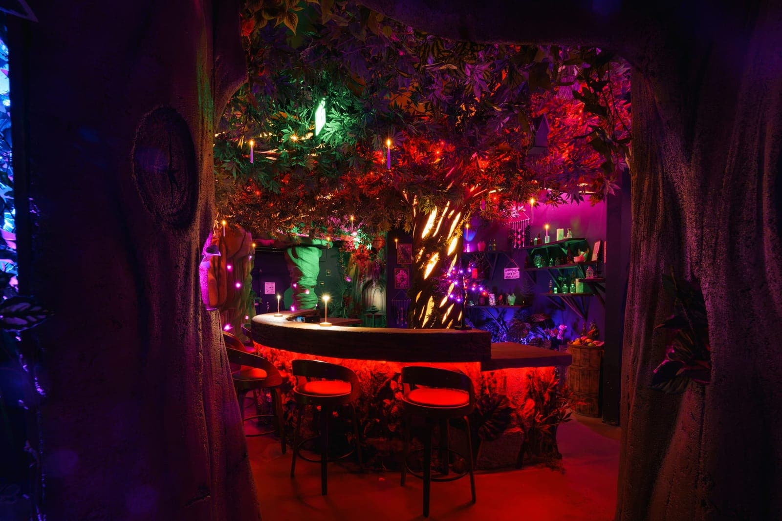 Looking through a hollow tree trunk at the candlelit counter of Everburn Woods