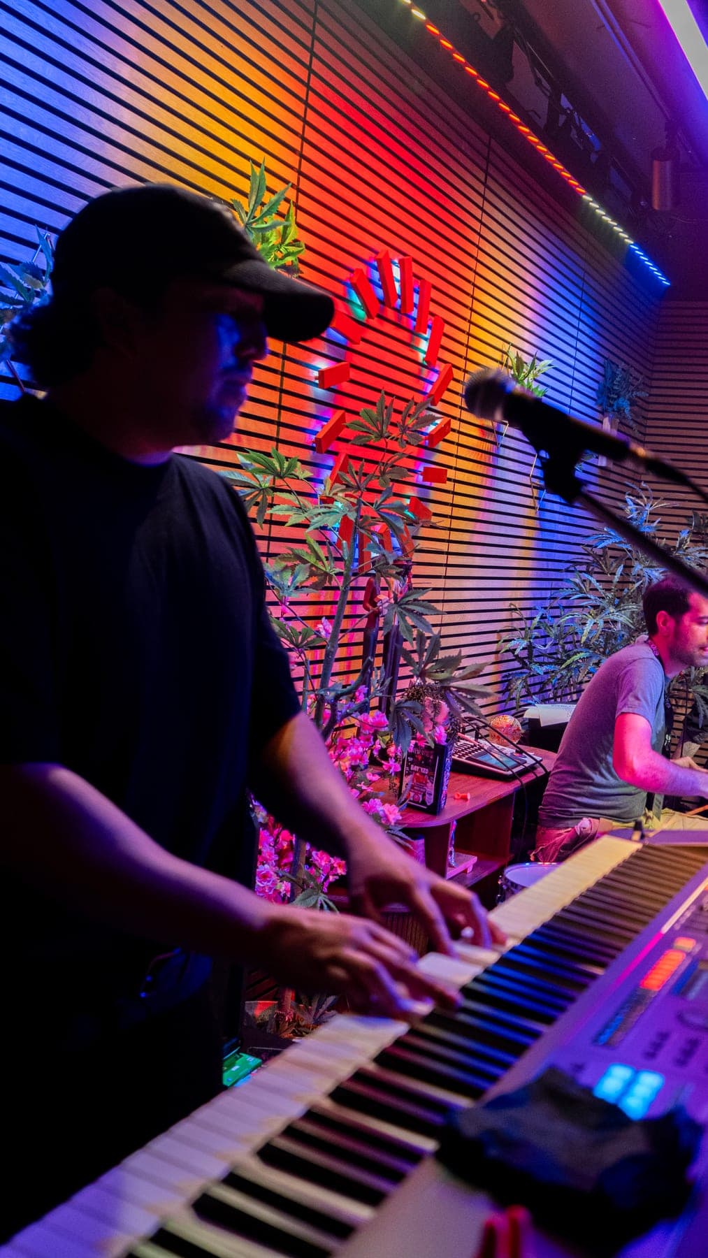 Photo 6 from Live Psych Rock, Ska, and Alt Punk: Hypno Toads at Sessions by the Bay