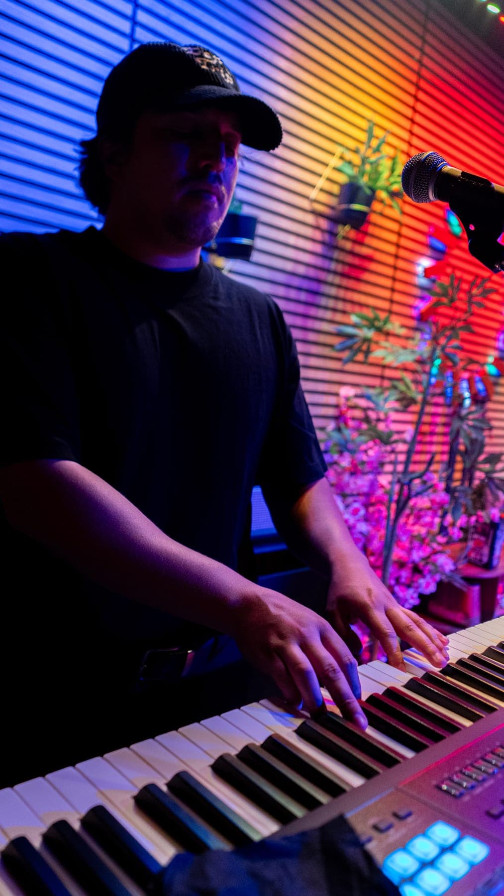 Photo 5 from Live Psych Rock, Ska, and Alt Punk: Hypno Toads at Sessions by the Bay