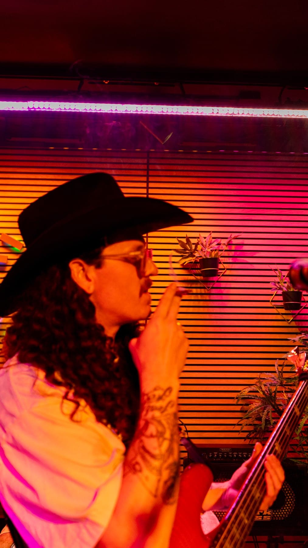 Photo 16 from Live Psych Rock, Ska, and Alt Punk: Hypno Toads at Sessions by the Bay