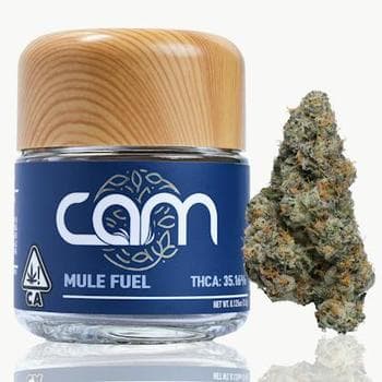 CAM | Mule Fuel | 3.5g