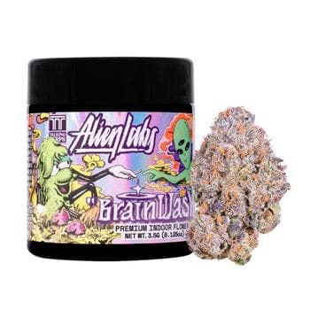ALIEN LABS | BRAIN WASH | 3.5G