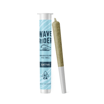 Wave Rider | Maui Haze | Preroll | 1g