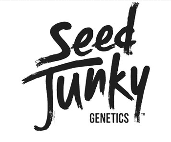 Seed Junky | Pineapple Bang | Preroll | 1g