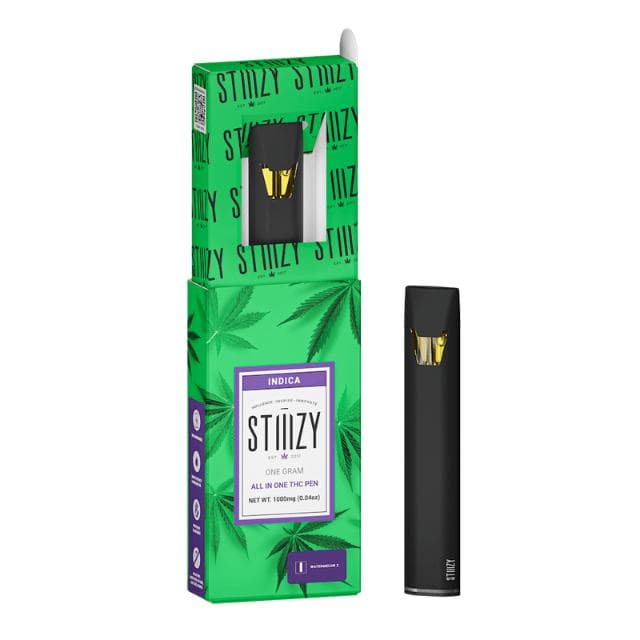 STIIIZY | WATERMELON Z | 1G AIO