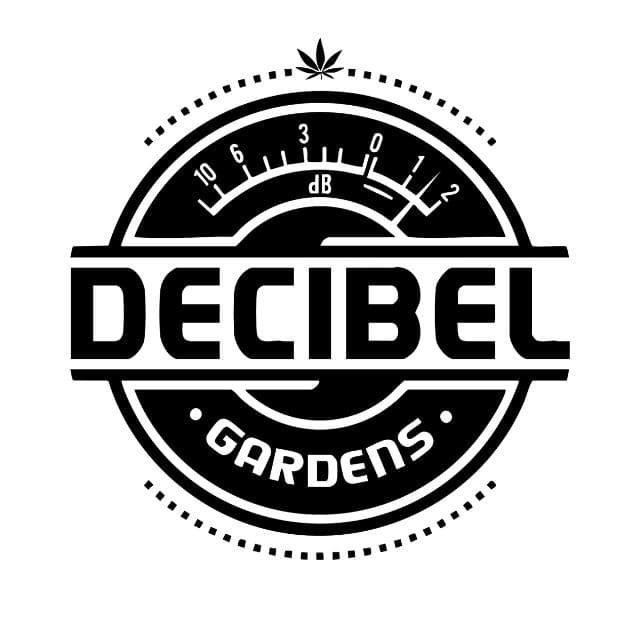 DECIBEL GARDENS | WATERMELON PUNCH | INFUSED PREROLL | 1G