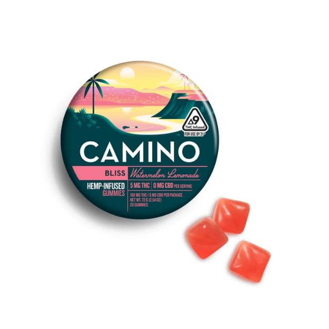 CAMINO | WATERMELON LEMONADE | 100MG